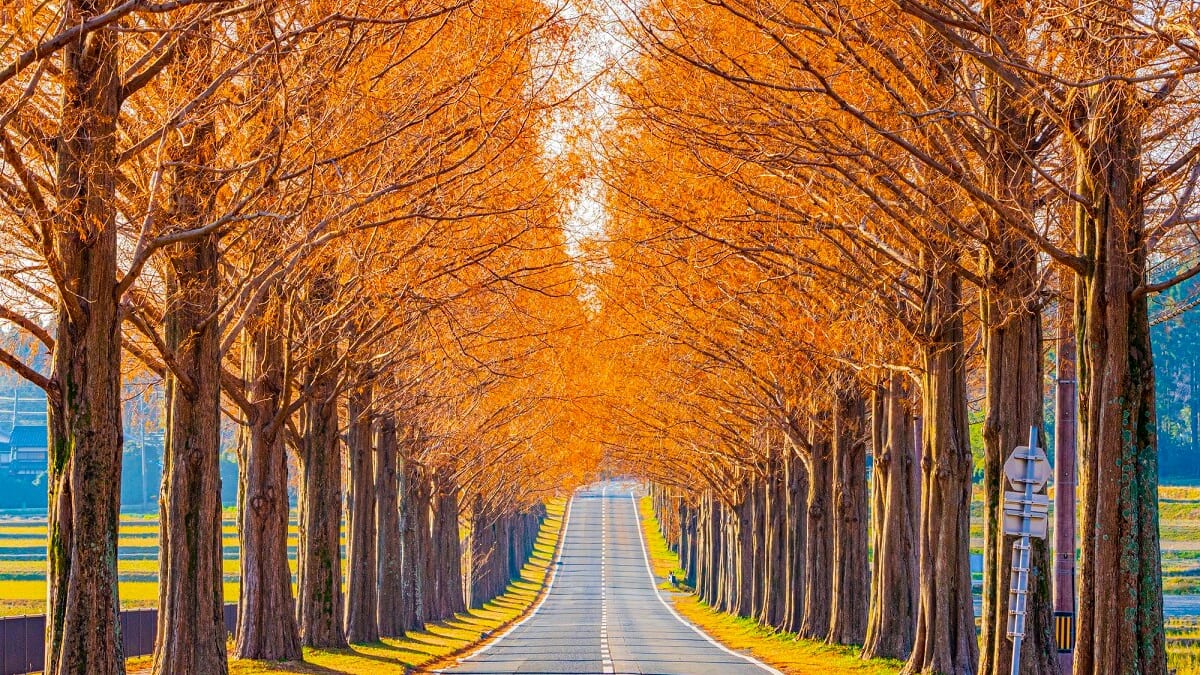 Découvrez la beauté de Makino: 13 spots touristiques incontournables avec une vue imprenable