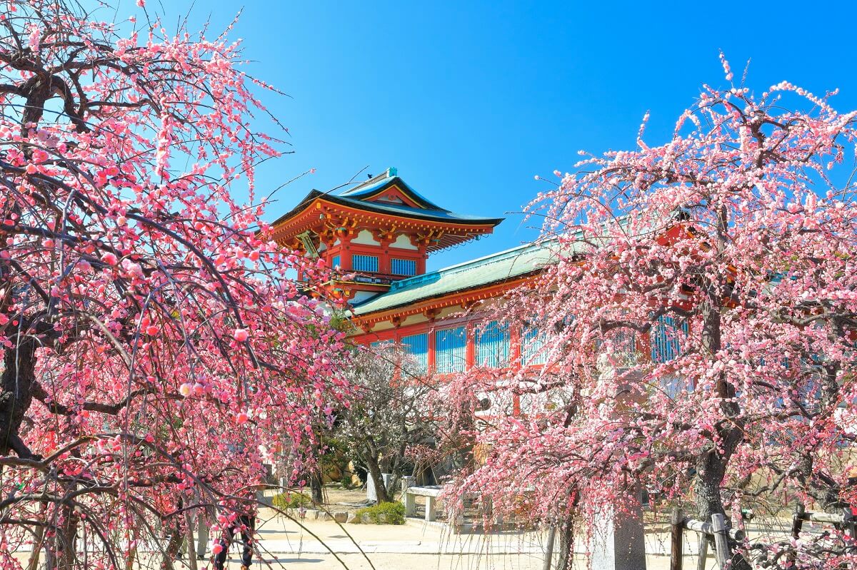 El final del período Edo, la era Meiji, el período Yayoi ... 16 puntos recomendados para los aficionados a la historia en la prefectura de Yamaguchi