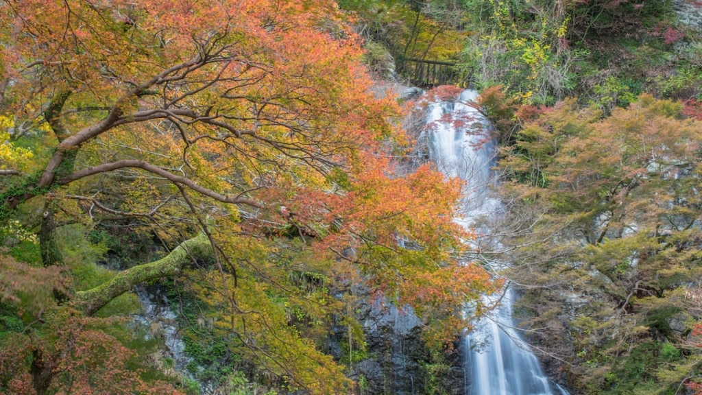 Au-delà de la cascade de Minoh! 5 points touristiques incontournables à Minoh City