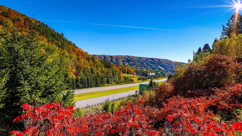 Une route panoramique à couper le souffle Canada est fier! Explorer le charme de la route de l'érable