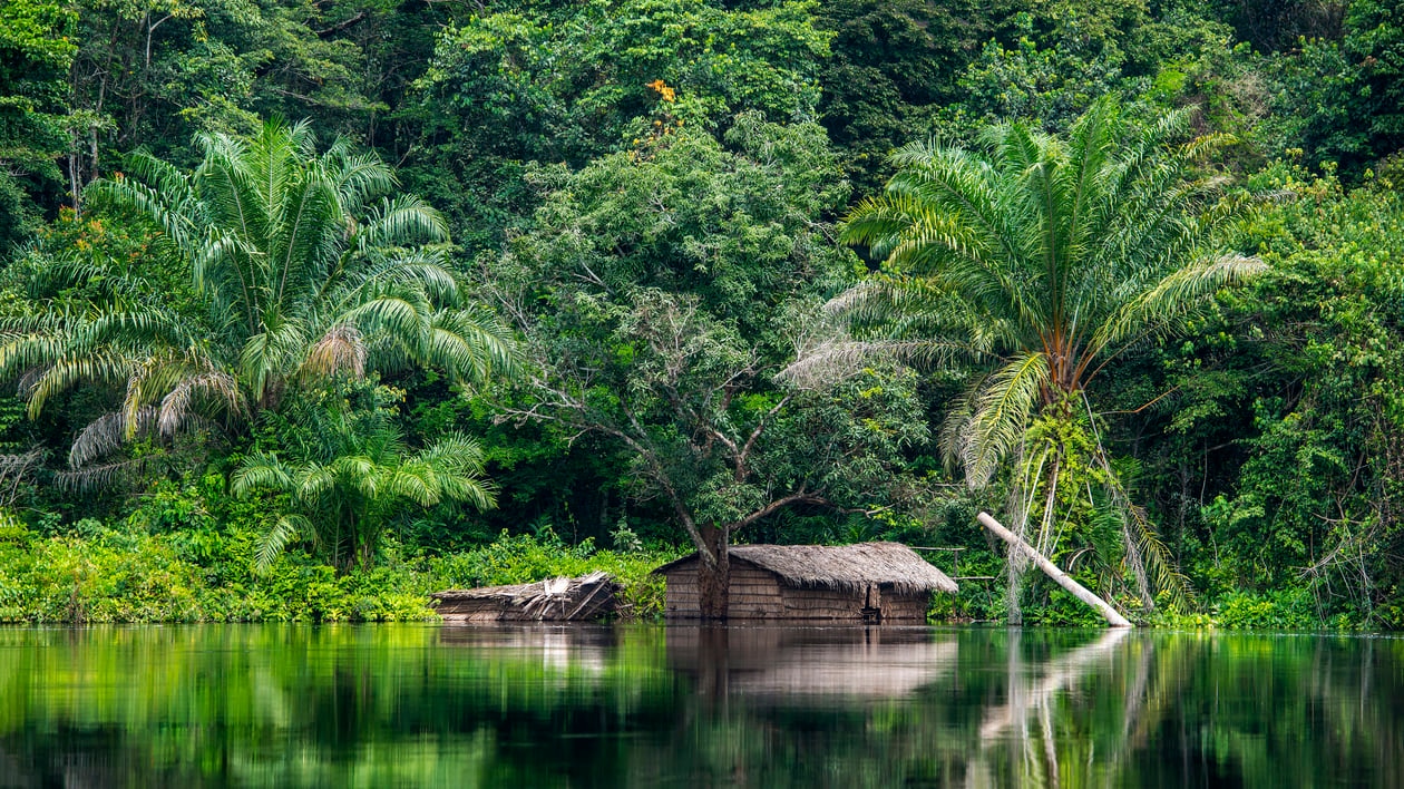 République démocratique du Congo: une nation recouverte de forêts tropicales et bordées de rivières jaillissantes