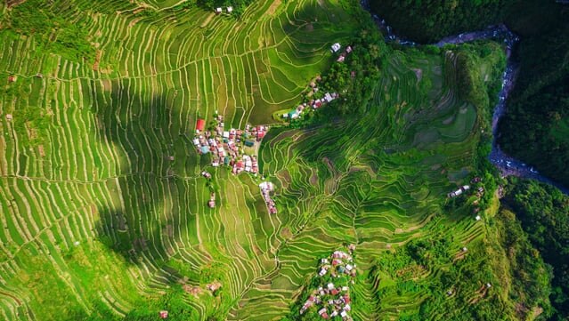 Escalier vers le ciel! Site du patrimoine mondial «Terrass de riz philippin Cordillera»