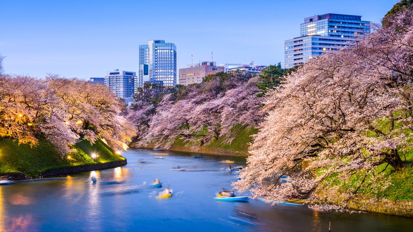 Visitemos a Su Majestad, la ciudad natal del Emperador: 10 lugares turísticos recomendados alrededor del Palacio Imperial