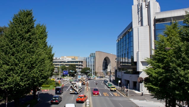 5 attractions incontournables à Shinanomachi! Plein de charme