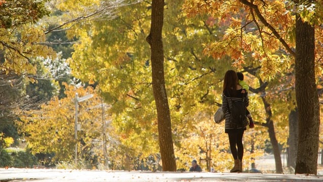 Ageo regorge d'installations où vous pouvez jouer avec vos enfants! 11 spots touristiques à Ageo