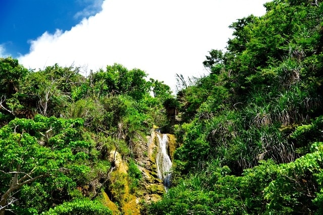 ¡6 Curando lugares turísticos en Daeguimura! Relájate y pasa tiempo en la naturaleza rica