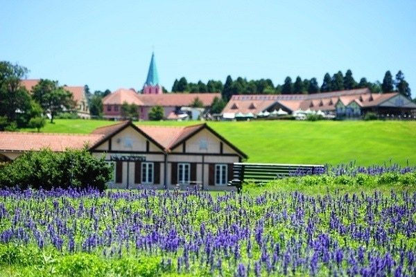 10 spots touristiques incontournables à Sodegaura 