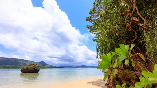 De l'histoire et de la culture aux paysages à couper le souffle et aux grandes figures! 13 points touristiques cachés pour profiter pleinement de l'île Ishigaki
