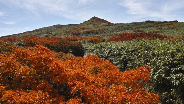 5 Spies incontournables pour les visites à faire à Yamagata et le mont Gassan!