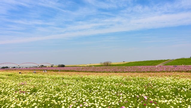 13 Placements touristiques incontournables de la ville de Kōnosu, qui abrite la légende de la cigogne!