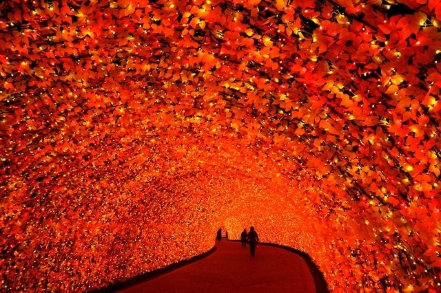 Ciudad de Kuwana: ¡Un destino turístico a solo 30 minutos de Nagoya! Top 10 atracciones de visita obligada