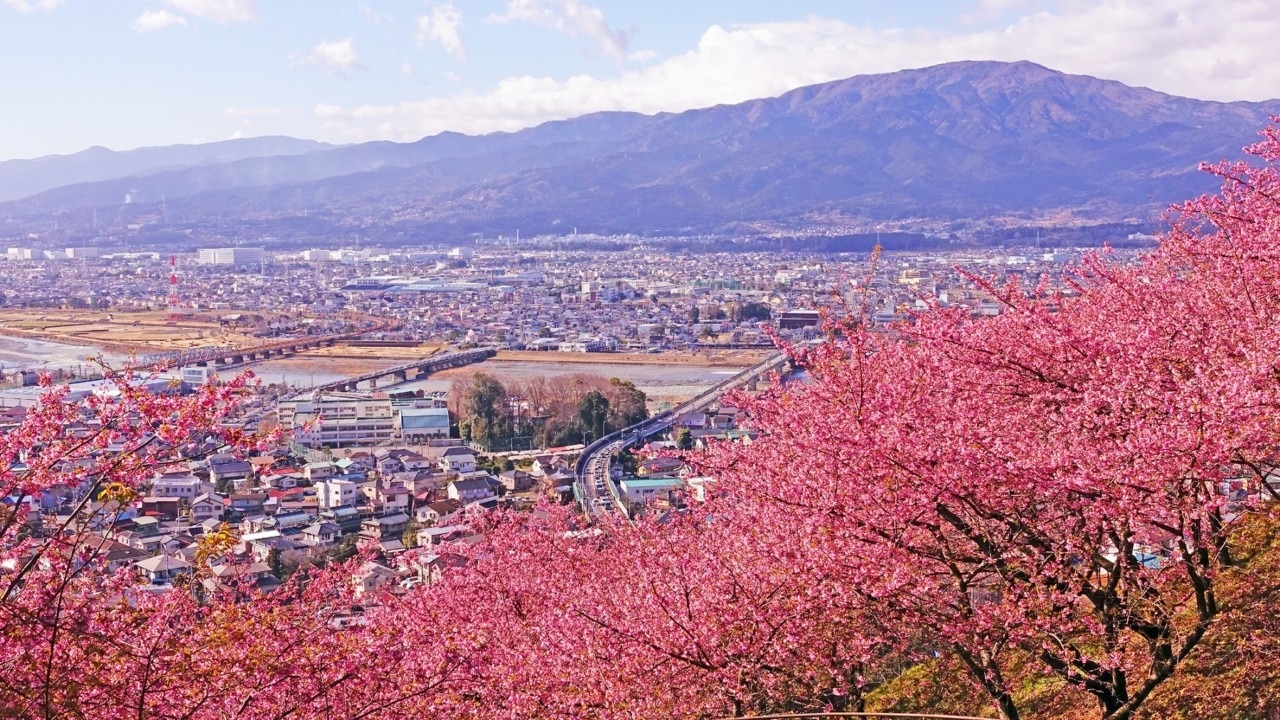 ¡12 lugares turísticos imprescindibles en Ashigera! Disfrute de una observación de flores llena de fragancia de hierbas e hortensias