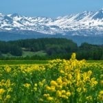 ¡Descubre lo mejor de Asahikawa, Hokkaido! Una guía para 25 lugares turísticos de visita obligada