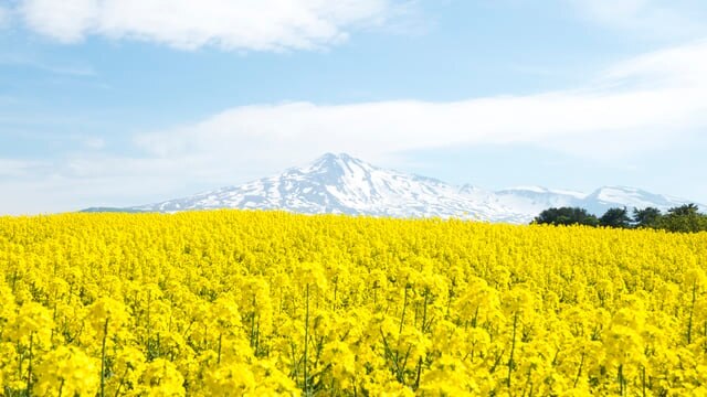 Découvrez la beauté des quatre saisons! 6 spots touristiques incontournables à Chōkai, Akita