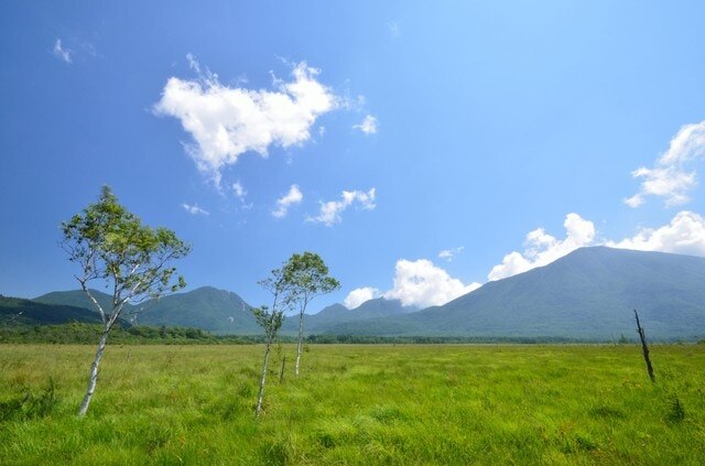 5 spots touristiques célèbres à Senjogahara, Tochigi