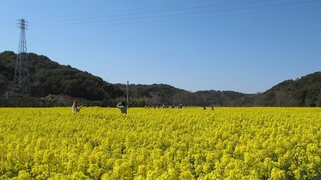 10 Les spots touristiques recommandés à Iwata City 