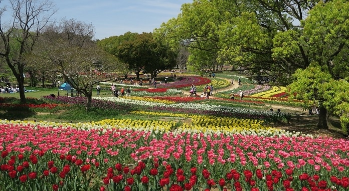 14 lugares turísticos que deben ver en el parque de conmemoración de la Expo de Osaka