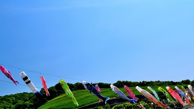 ¡Lleno de misteriosos lugares! 10 lugares turísticos imprescindibles en la ciudad de EE. UU., Prefectura de OITA