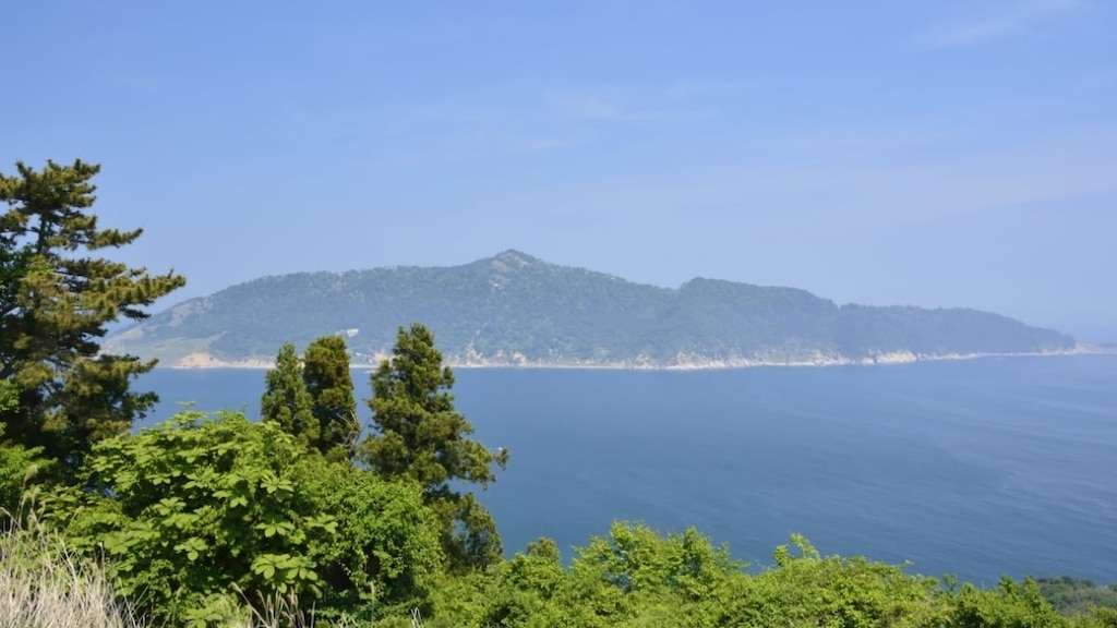 Le célèbre spot de lutte monétaire de Miyagi! Un guide pour faire du tourisme à Kinkasan