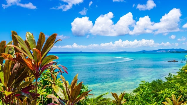 9 Les spots touristiques incontournables dans le village d'Onna ◎ plus que de simples sports marins!