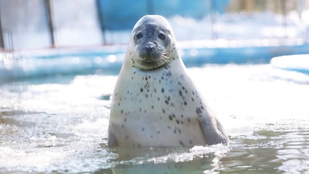 Ne le retire jamais! 10 spots touristiques à Obihiro que vous pouvez apprécier avec les enfants