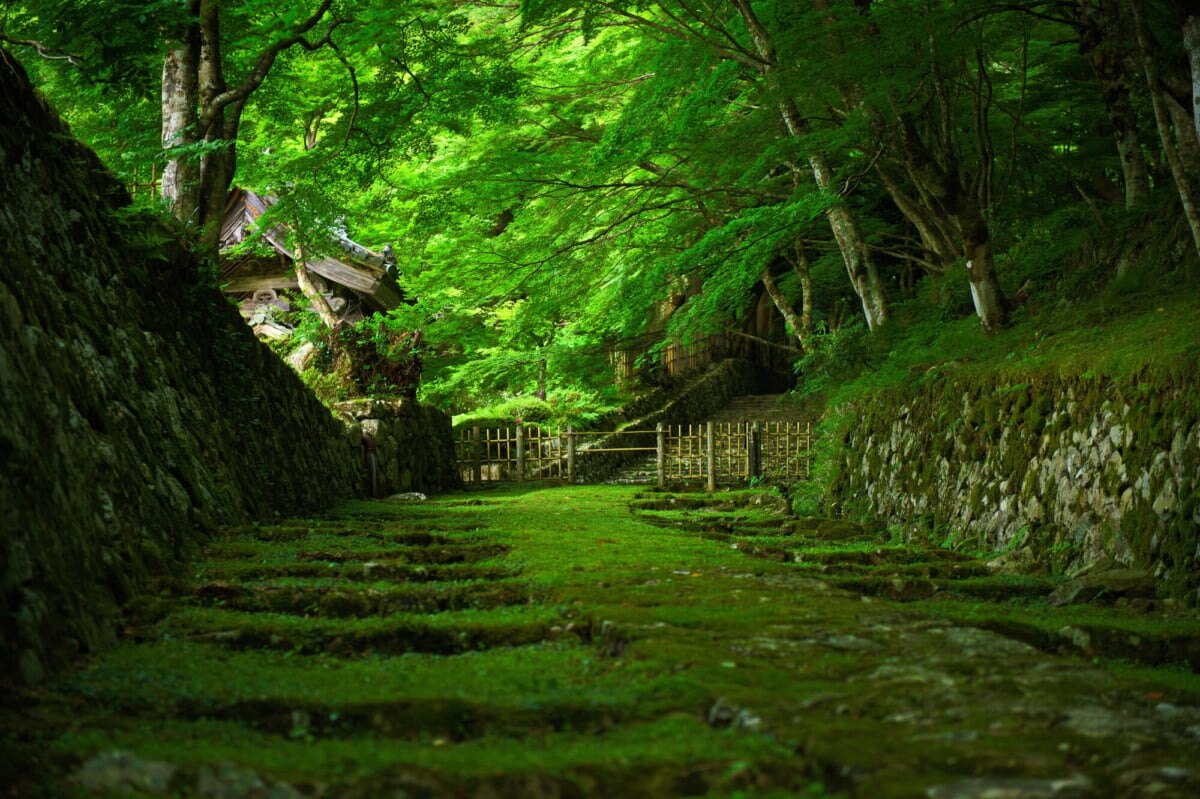 10 Les spots touristiques recommandés dans la ville de Higashiomi. Profitez de la riche histoire et de la culture de la ville