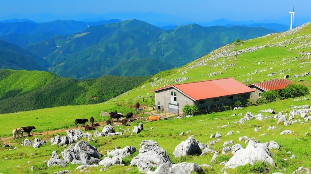 30 lugares turísticos recomendados en Ehime