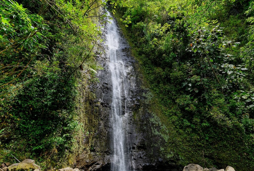 Manoa Falls é um ponto de trilha acessível perto de Honolulu! Um destino turístico recomendado para entusiastas do ar livre!