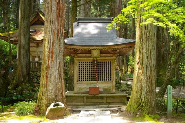 La préfecture la plus heureuse du Japon! 5 sites spirituels puissants à Nagano pour les bénédictions