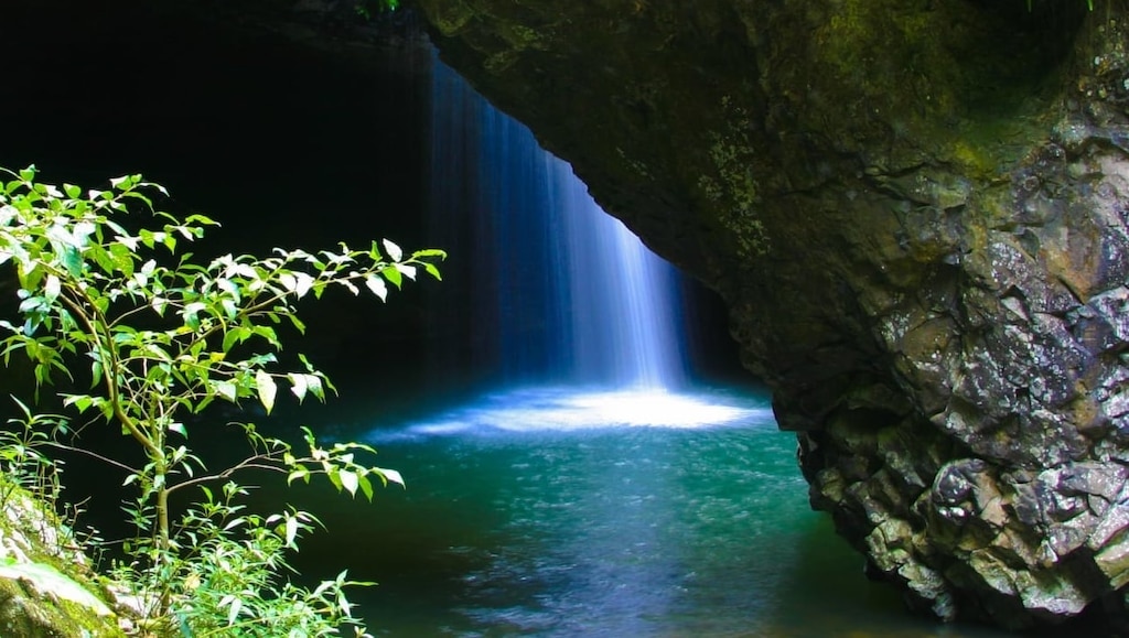 Guide complet des visites du parc national de Springbrook: comment profiter des vues et de la nature panoramiques à pied