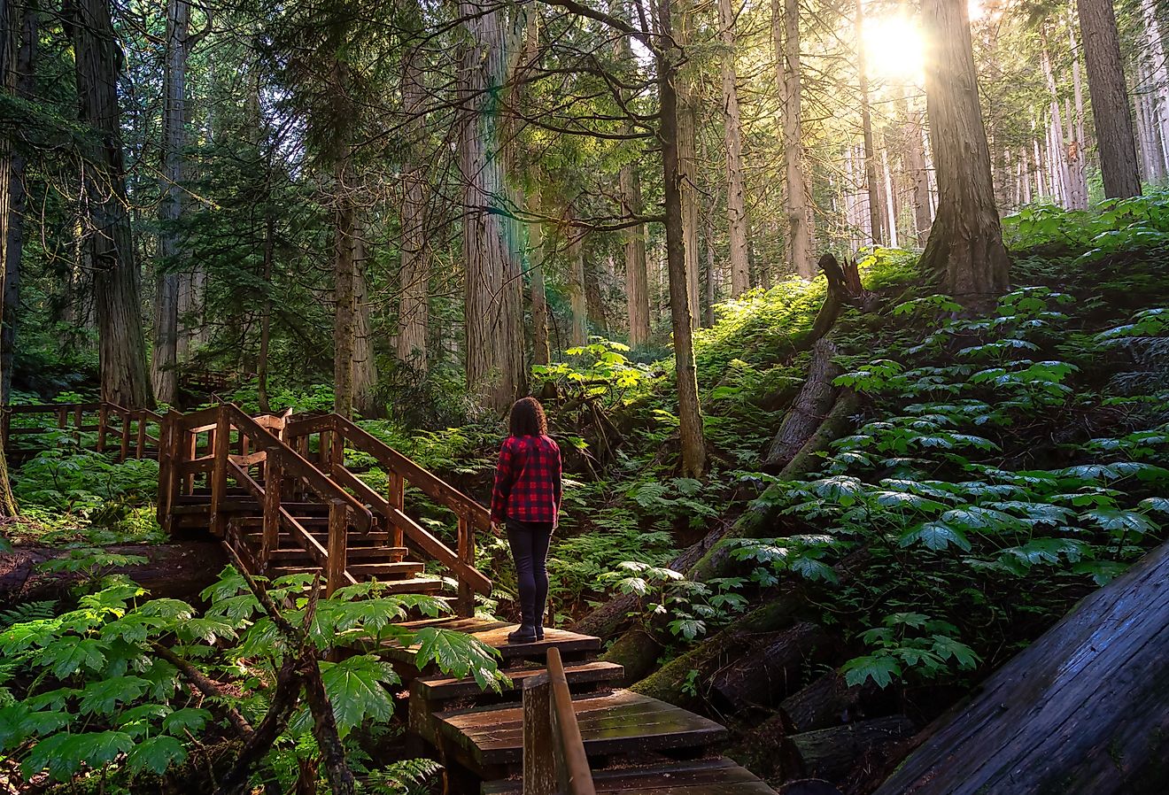 8 pueblos pequeños más lindos en Columbia Británica para 2025