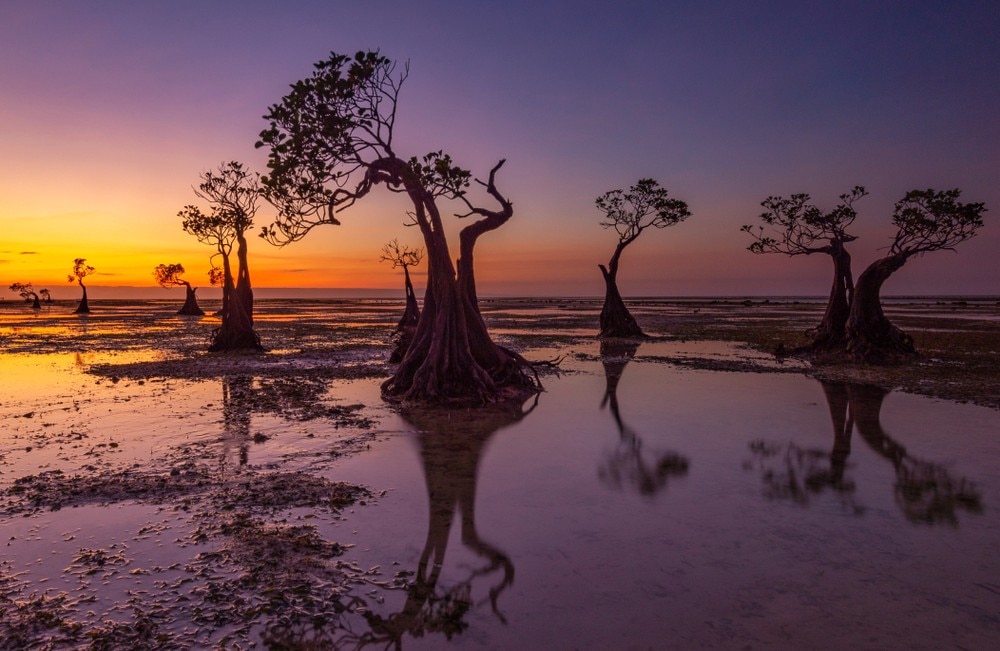 11 endroits incroyables en Asie dont vous n'aviez jamais entendu parler auparavant