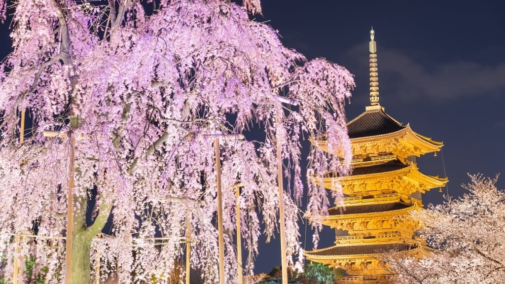 Des spots touristiques recommandés soigneusement sélectionnés à Kyoto! Présentation des attractions populaires par région