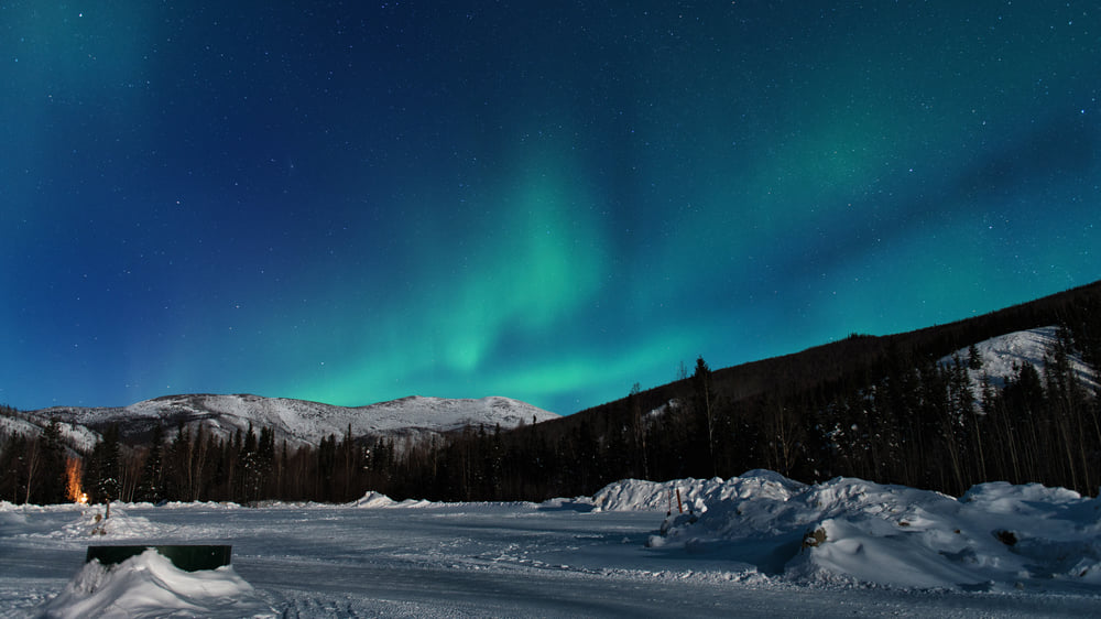 Fairbanks: Témoin des lumières du nord, touchez le poteau arctique et la danse avec des rennes