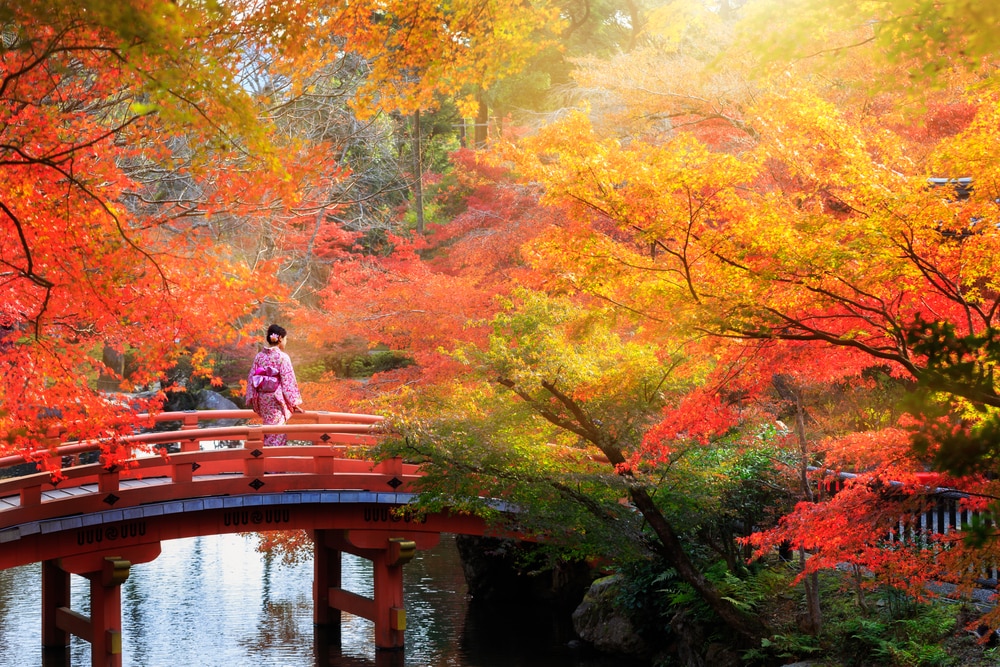 9 choses à faire au Japon pendant la saison d'automne