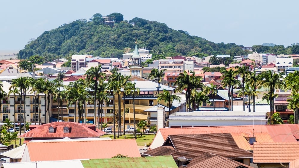 Guyane française ： Un département français attirant des touristes avec des tortues en cuir bébé