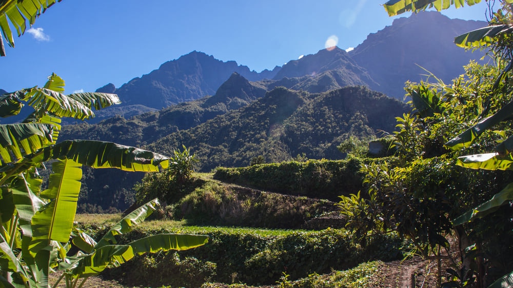 Réunion: une île incroyable où les touristes peuvent faire du tourisme autour des volcans et goûter à une délicieuse cuisine créole