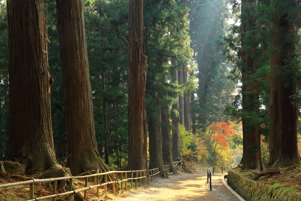 Les meilleures choses à faire dans la préfecture iwate