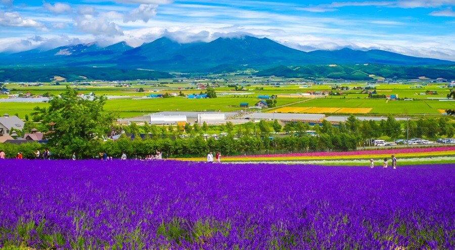 27 spots touristiques à Furano: Embarquez dans un voyage pour profiter pleinement des grands espaces