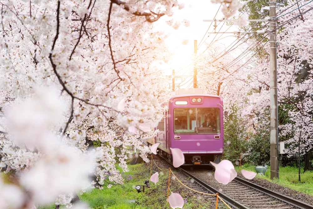 Les meilleures choses à faire à Kyoto qui n'impliquent pas les temples ou les sanctuaires