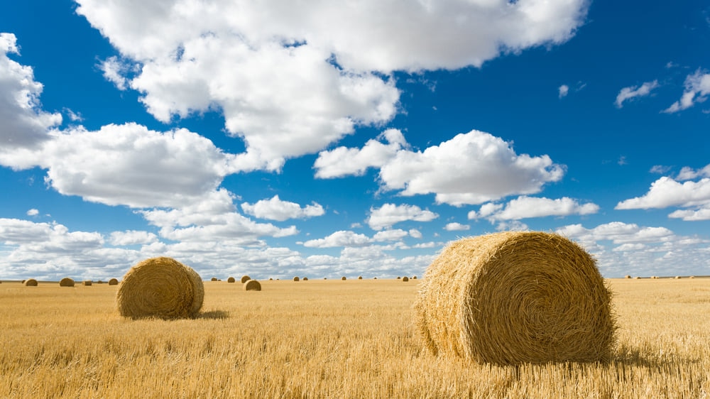 Glasgow (Montana): O pequeno céu escondido em Montana