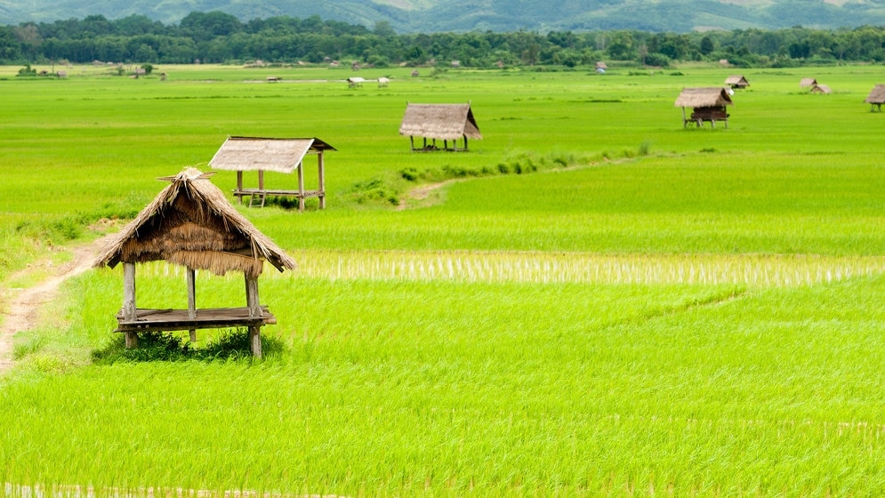 ¡Las 5 principales atracciones imprescindibles en Luang Namtha, la joya oculta del norte de Laos!