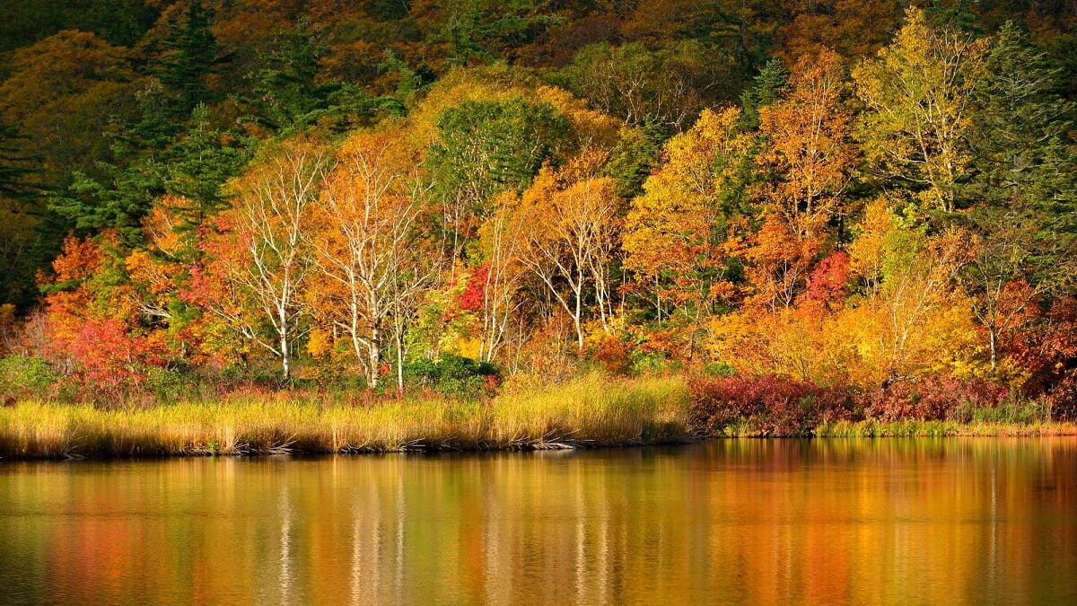13 Attractions touristiques incontournables à Kazuno City, Akita 