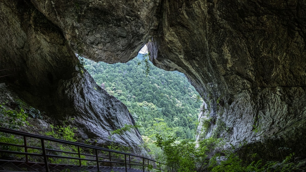 [Gema oculta de Aichi] ¡Una guía completa para Chiiwa Gorge! Información de estacionamiento y acceso incluida