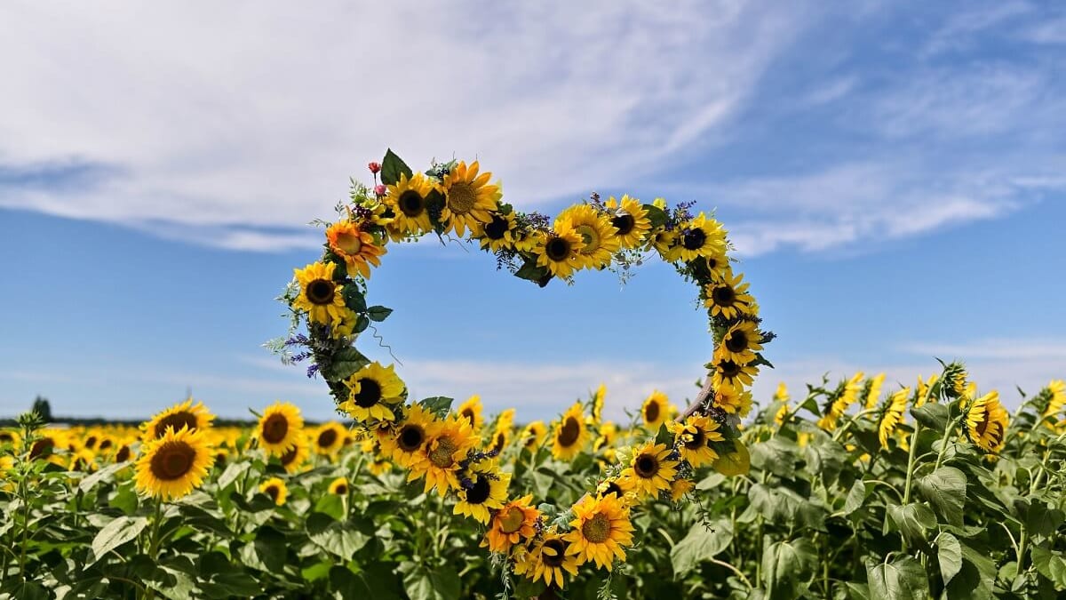 Si vous voulez vivre de la verdure et de l'histoire, visitez Tsubata Town dans la préfecture d'Ishikawa! Voici 6 points touristiques recommandés