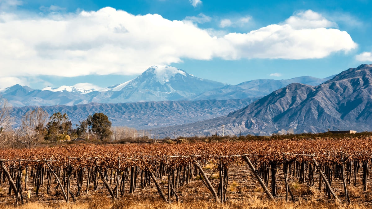 Top 5 des spots touristiques recommandés à Mendoza, la ville au pied des Andes