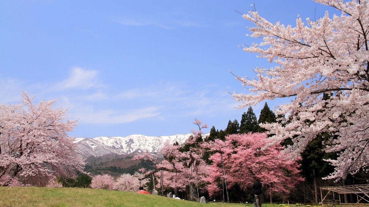 Plein de charme! 5 points touristiques incontournables dans la ville de Shirataka, préfecture de Yamagata