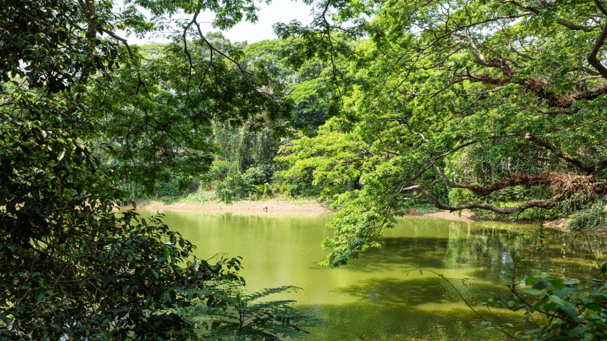 Top 10 des attractions touristiques incontournables à Thiruvananthapuram, près de la pointe sud de l'Inde!