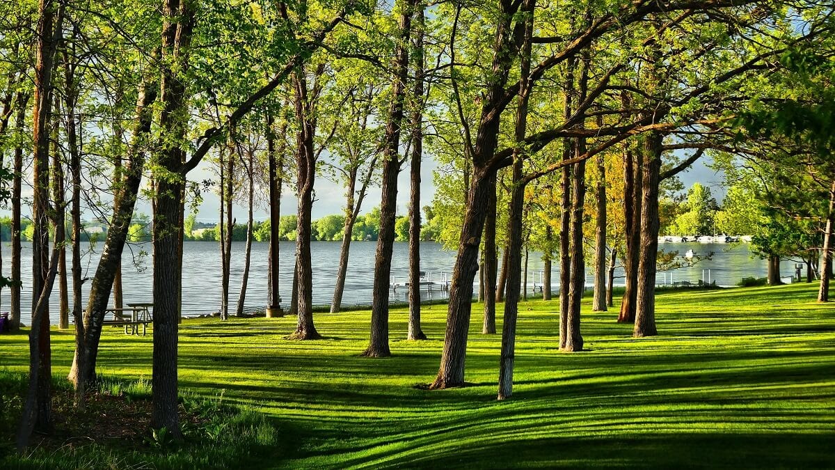 ¡Bemidji Turist Spots! ¡Visite al legendario gigante estadounidense, Paul Bunyan!