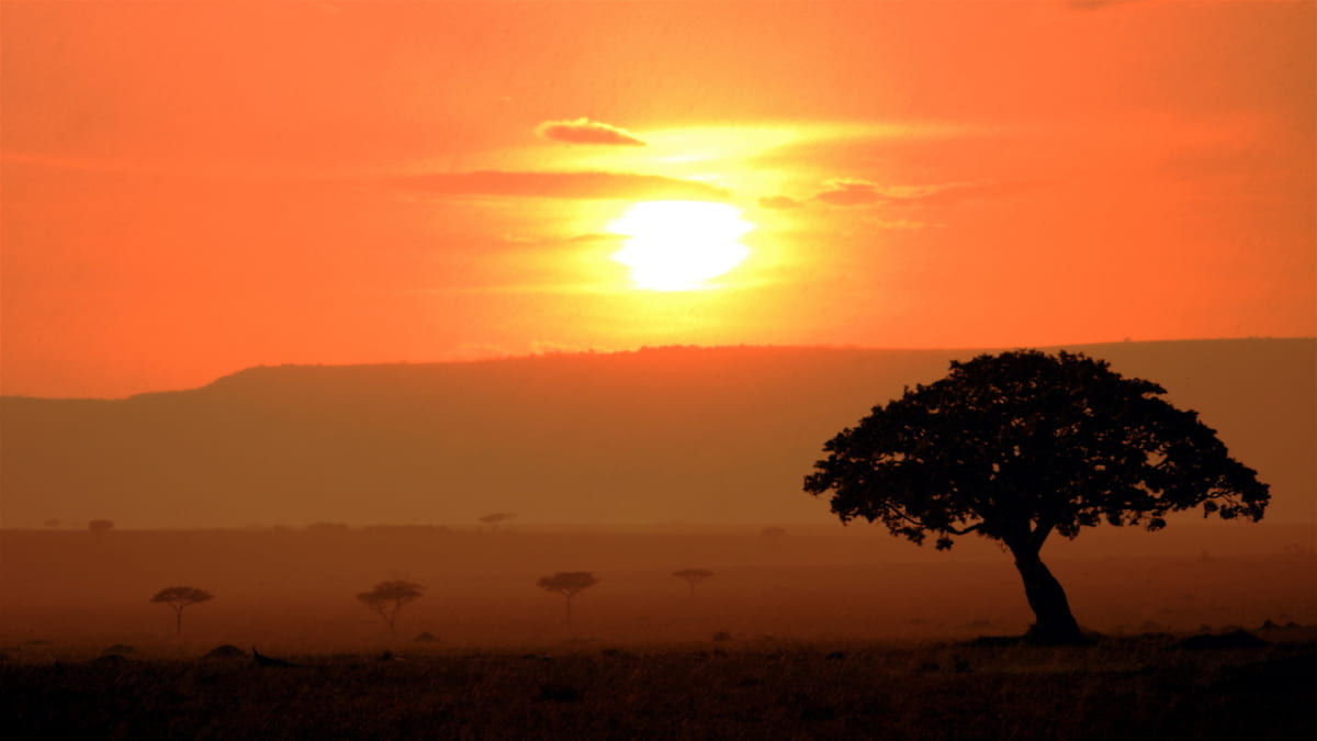 La belle nature et la faune vous attendent! 5 spots touristiques recommandés au Kenya